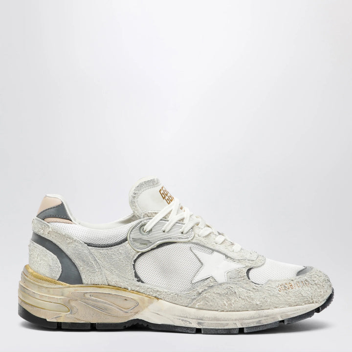 Golden Goose - Dad-Star trainers in suede and white/silver mesh