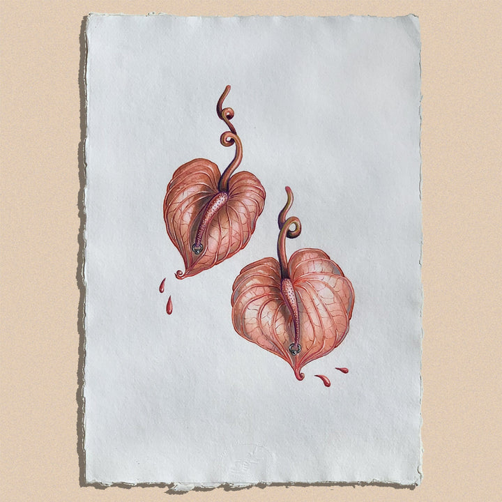 Silviya Neri Painting Silviya Neri Anthuriums Botanical Handmade Illustration Silviya Neri: Anthuriums Botanical Handmade Illustration Brand