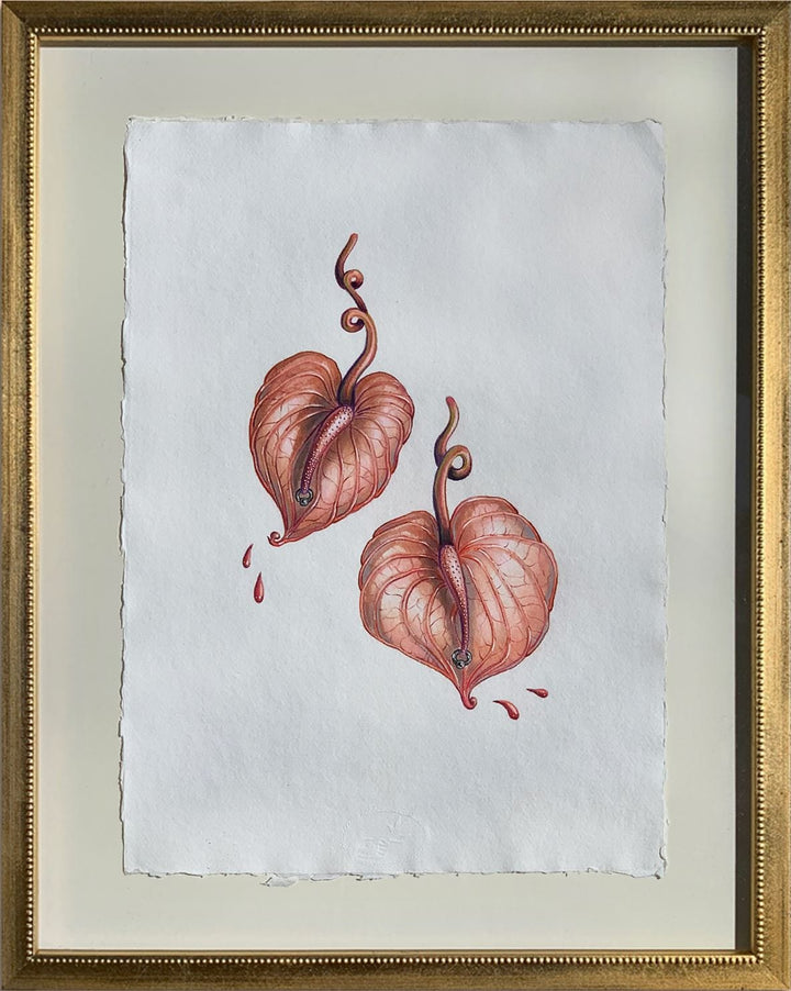 Silviya Neri Painting Silviya Neri Anthuriums Botanical Handmade Illustration Silviya Neri: Anthuriums Botanical Handmade Illustration Brand